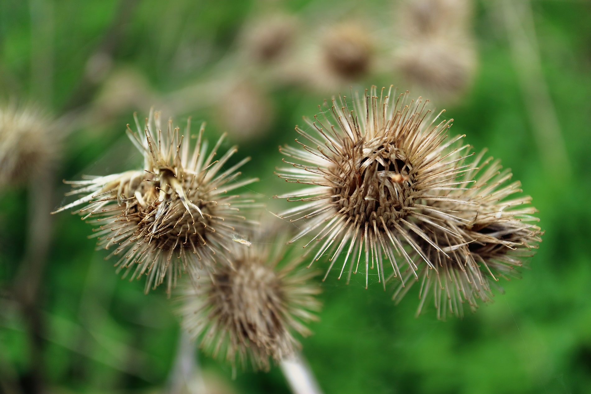 tela con ganchos y otra con bucles