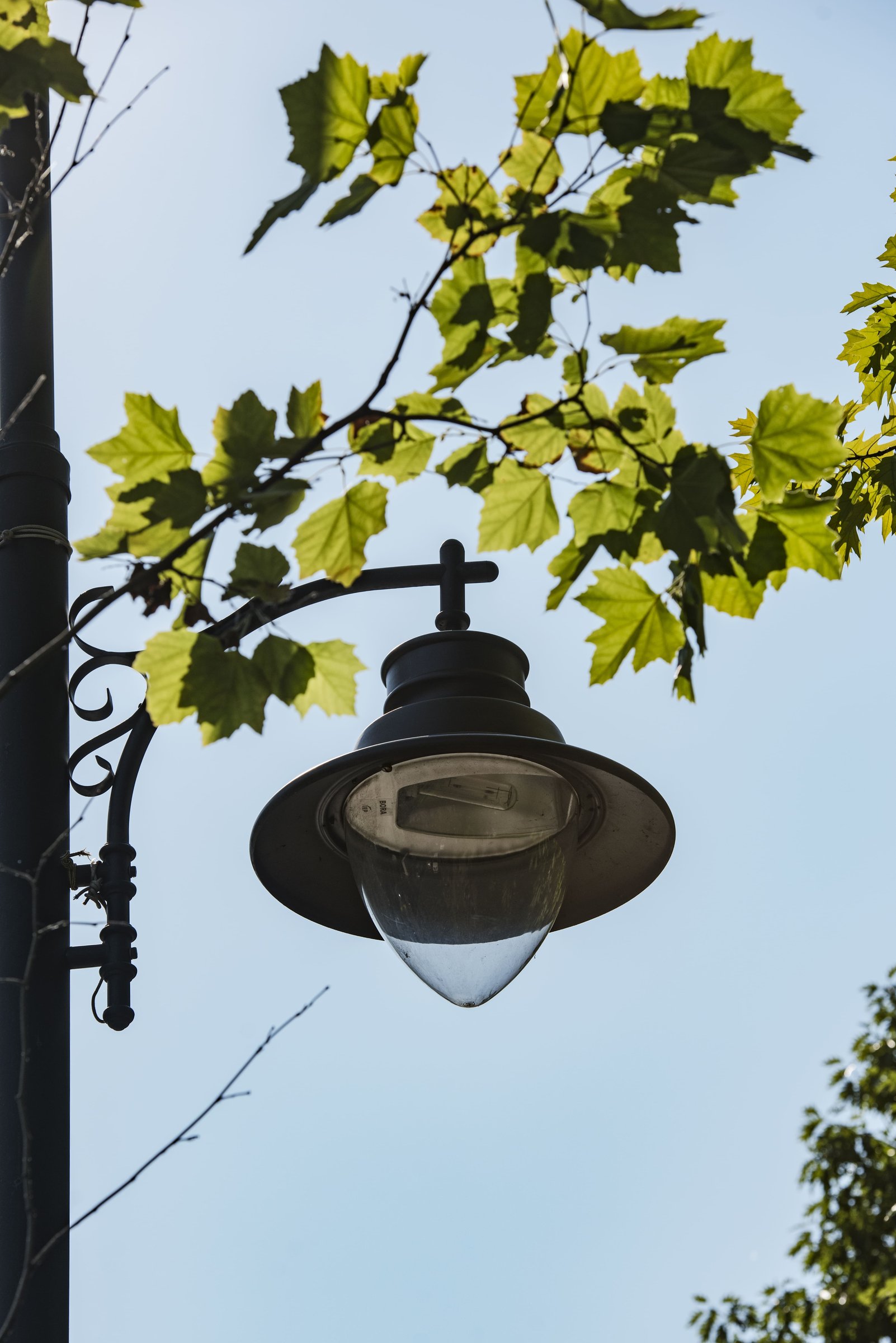 Simon Bora lit at night outdoors with warm light — Istanium LED lifestyle ambience.
