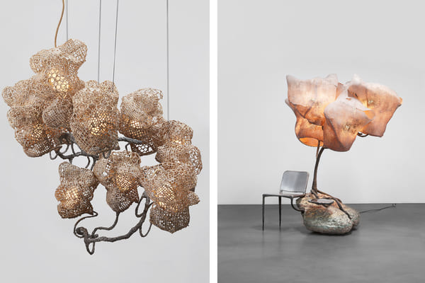 diseno-organico