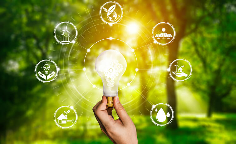 ciclo biológico iluminación dinámica