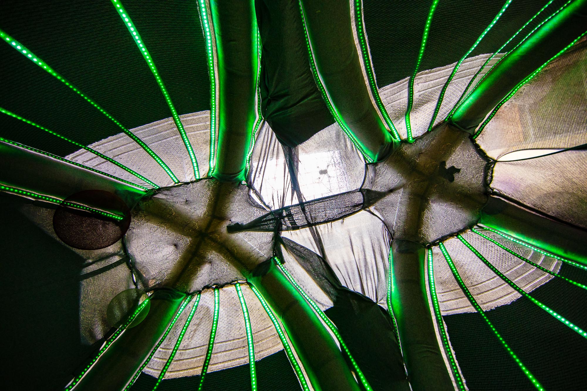 D. Lights Casa Decor 2021