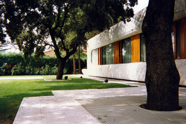 diseno-organico