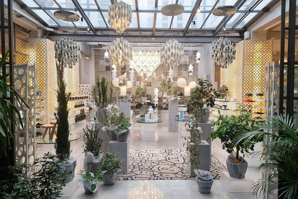 concept-stores