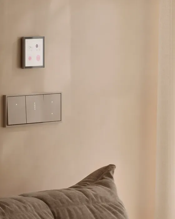 Devices & Homepad in wall