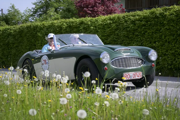 78 Austin Healey 3000 Vetterling