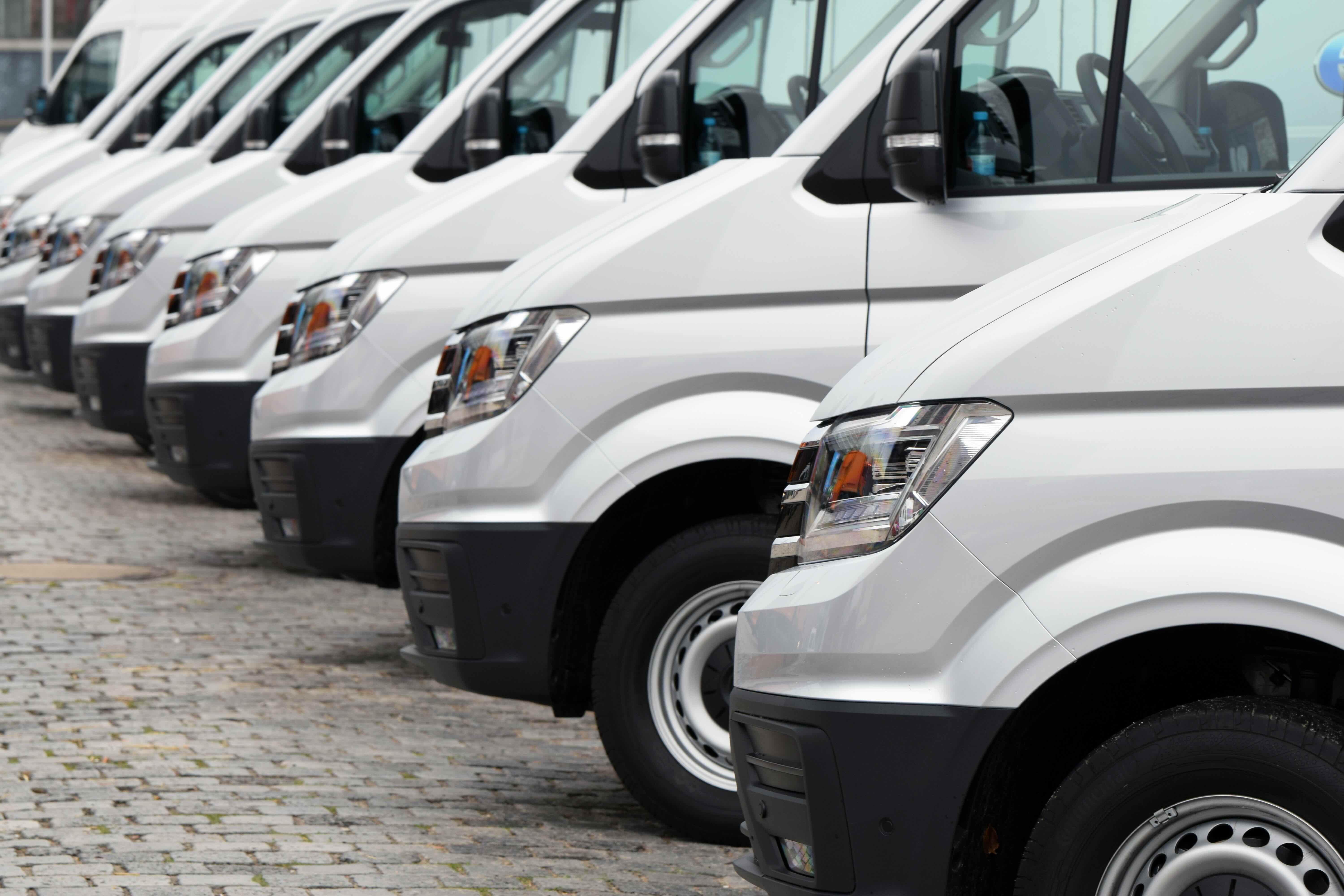 Witte busjes