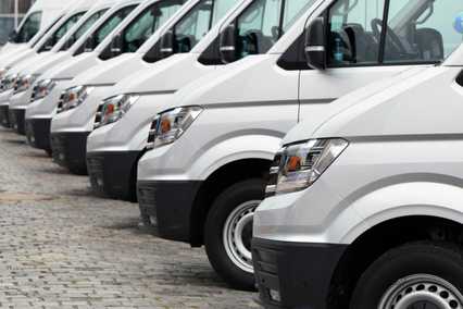 Witte busjes