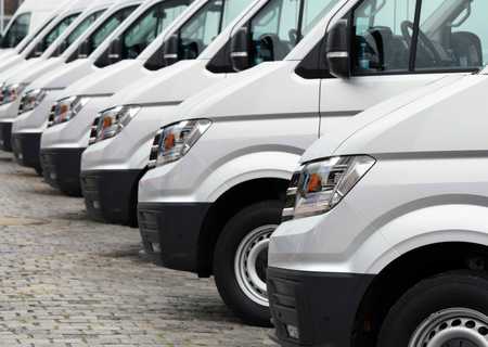 Witte busjes