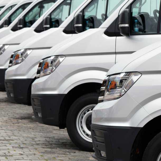 Witte busjes