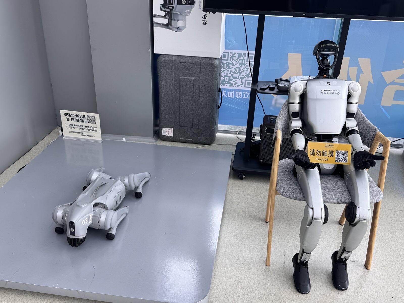 A nice robot and his robot dog.