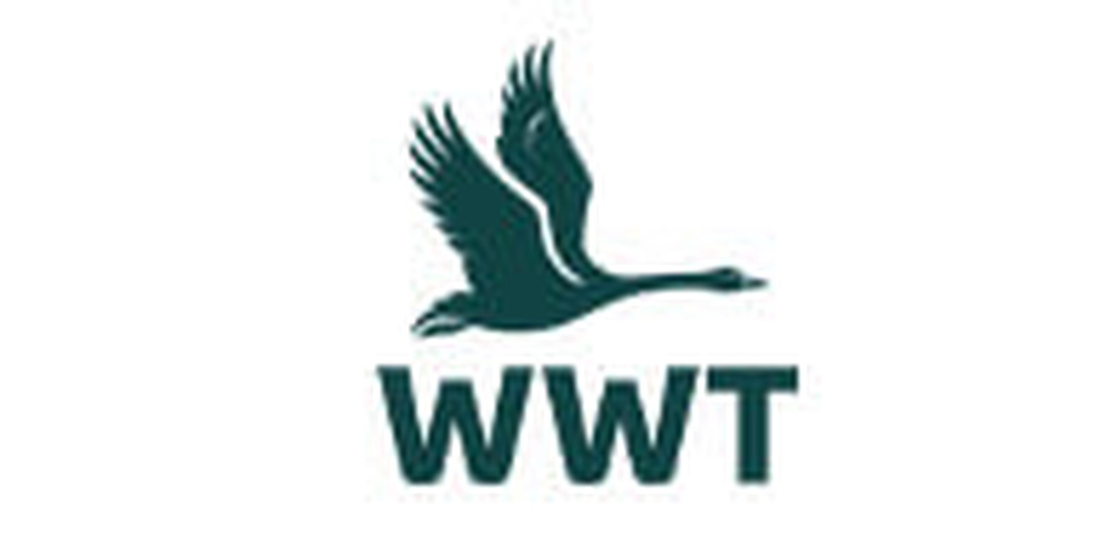 WWT logo.