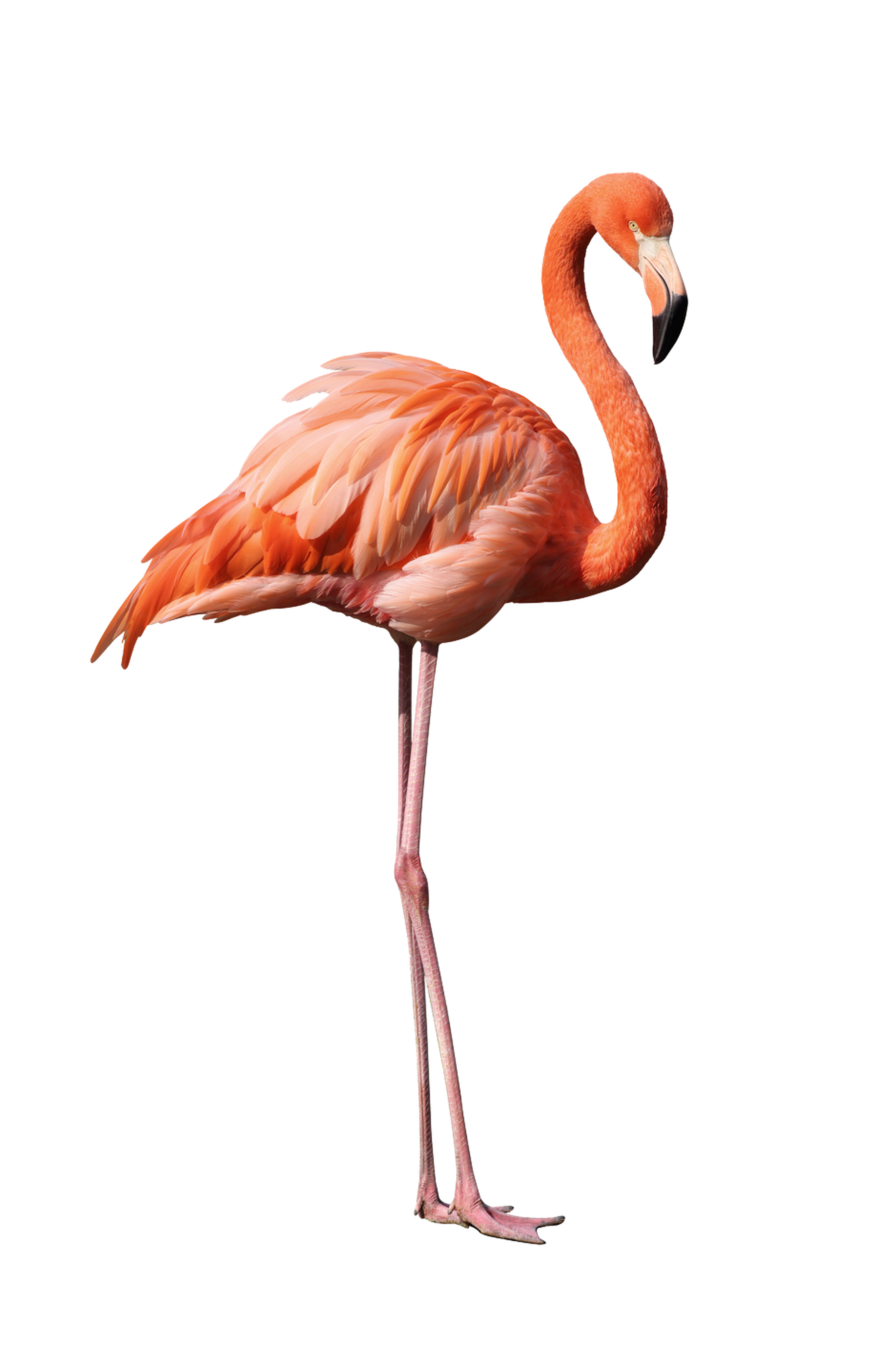 Check your eligibility