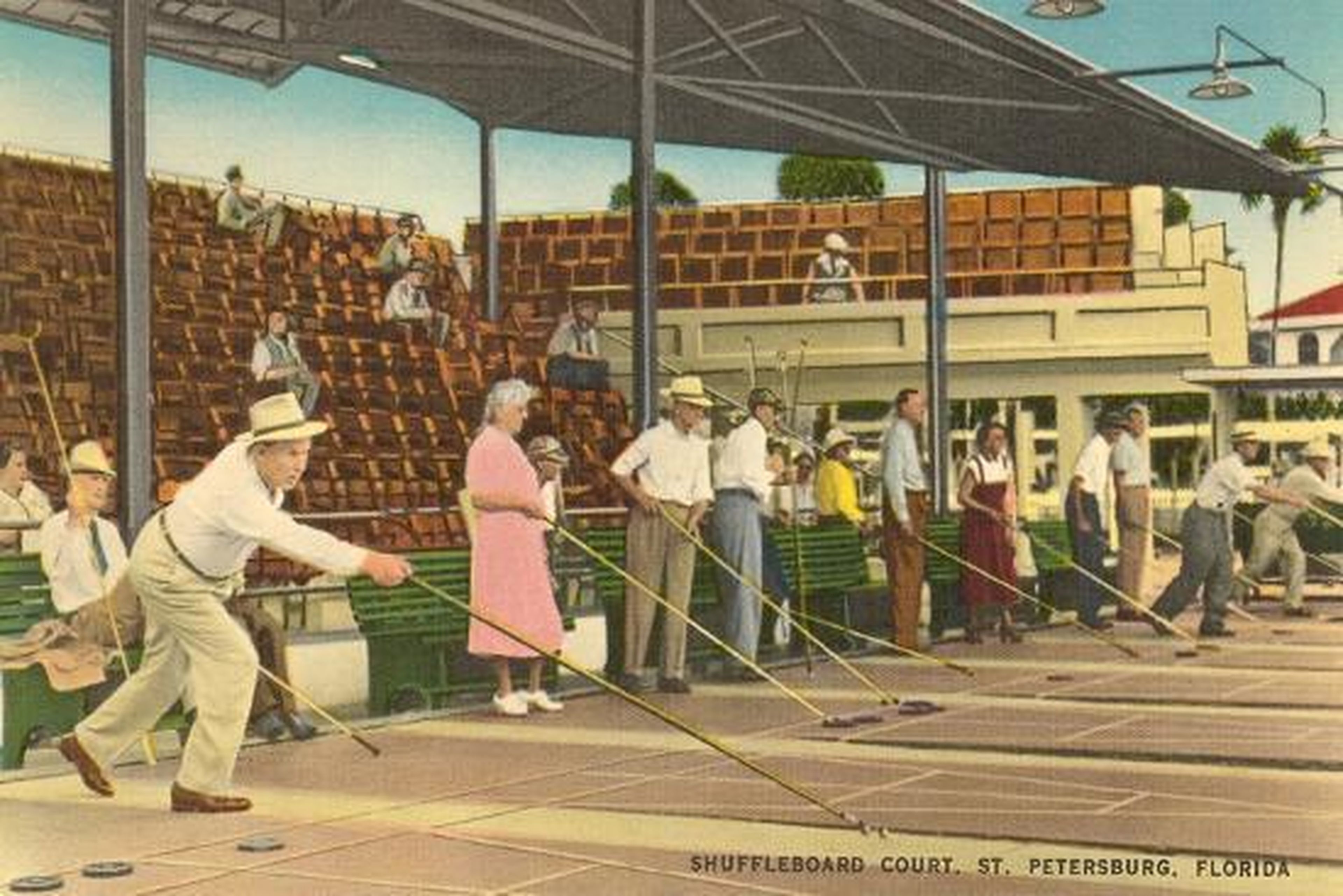 shuffleboard st petersburg florida
