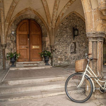 A vintage bicycle with a wicker basket leans against stone arches near a wooden door, surrounded by potted plants.