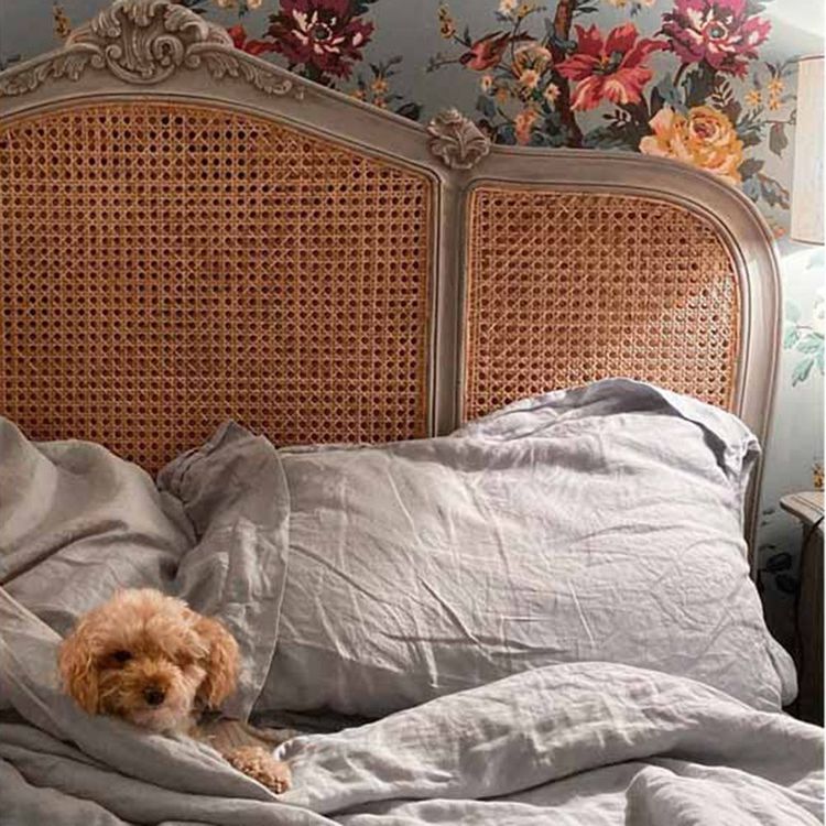 A small dog lies comfortably on a bed with gray sheets, against a wooden headboard and floral wallpaper backdrop.