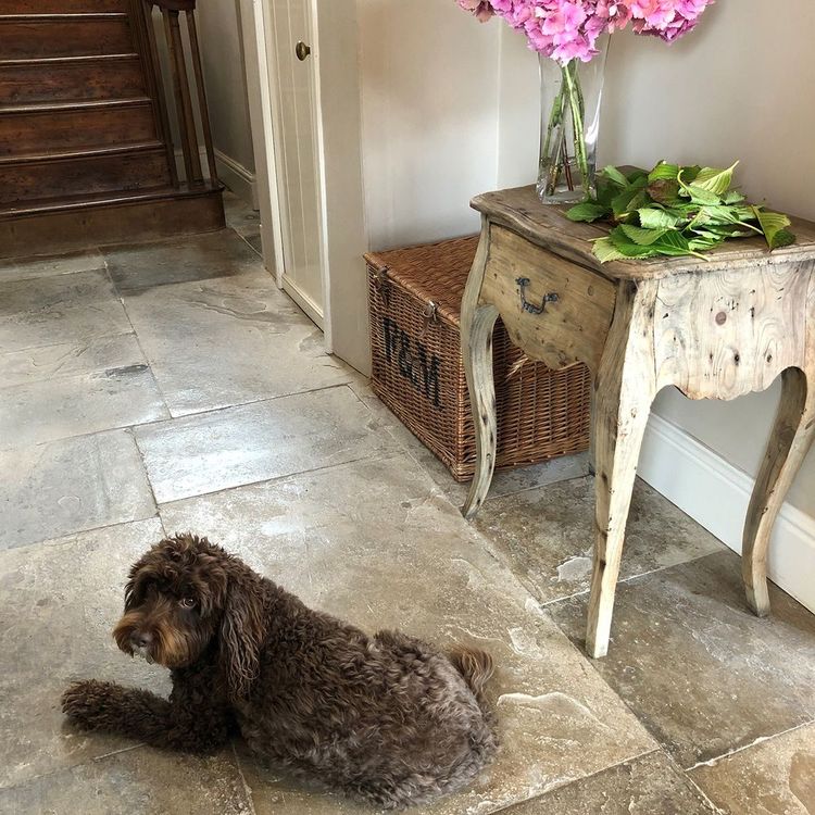 A curly-haired dog lies on a stone floor next to a rustic wooden table with a vase of pink flowers and a wicker basket nearby.