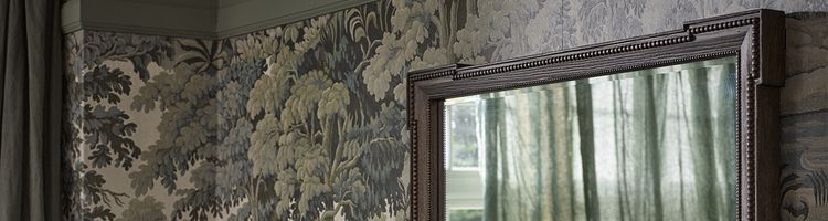 French Mirrors banner image