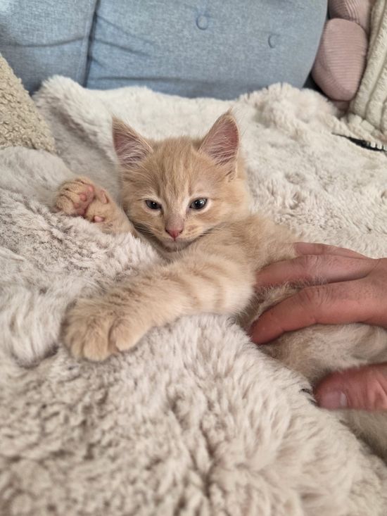 Styled by @kaieshaindia