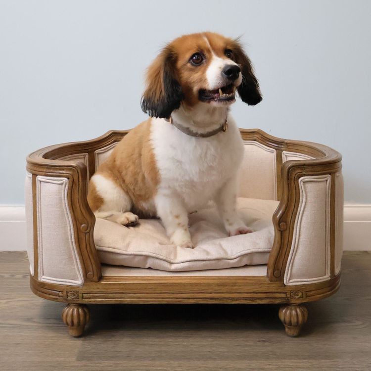 Small dog with brown and white fur sitting on an ornate wooden pet bed with beige cushions against a light blue wall.