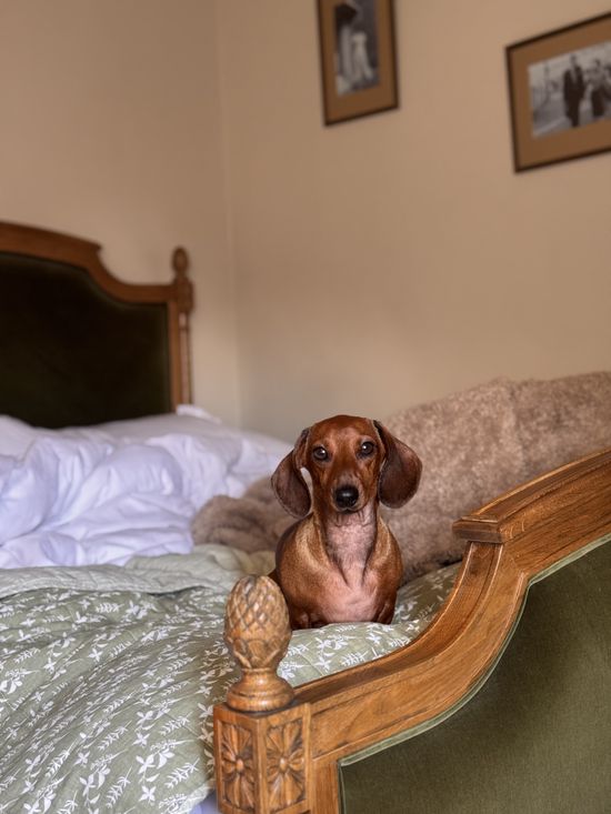 Love Story Olive Bed