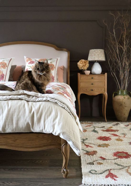 Lola with Cocoon Bed 2