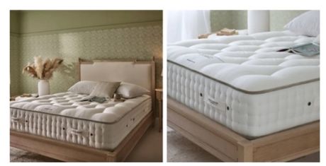 Two views of a plush, white mattress on a wooden bed frame in a softly lit bedroom with light green walls and decorative plants.