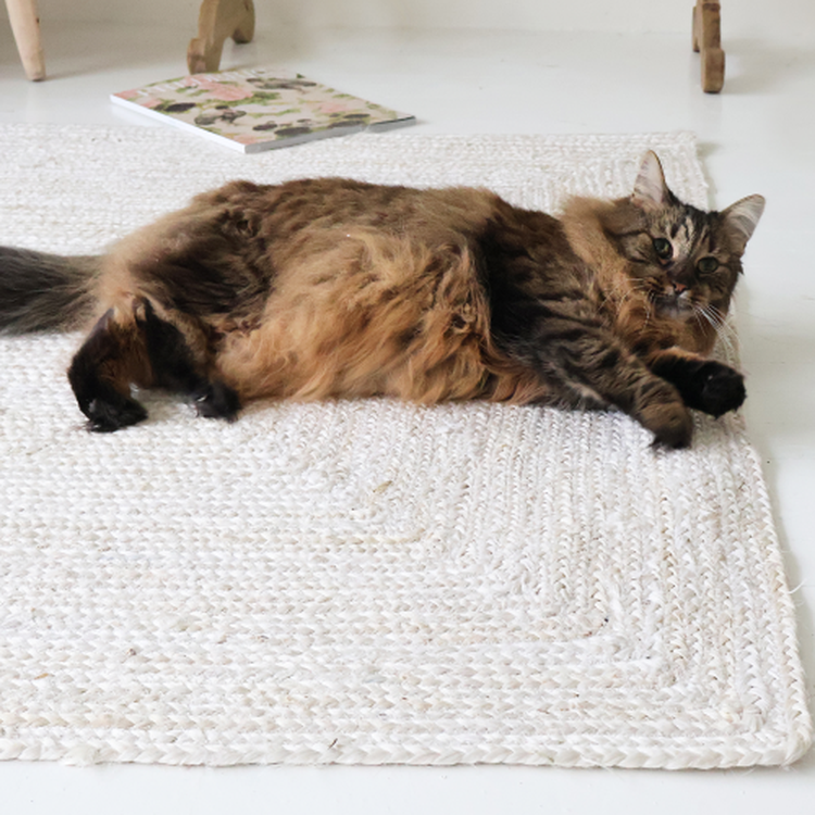 Fluffy brown and black cat lounging on a textured white rug, with a book nearby on the floor.