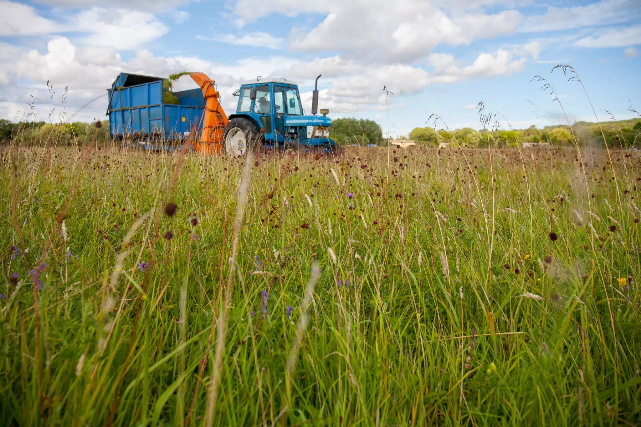 A blue tractor with an orange attachment operates in a grassy field under a partly cloudy sky.