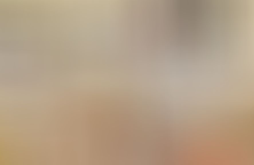 Foto 2 van de afbeeldingsgallerij bij het nieuwsbericht 'Danexamens judo april 2026'