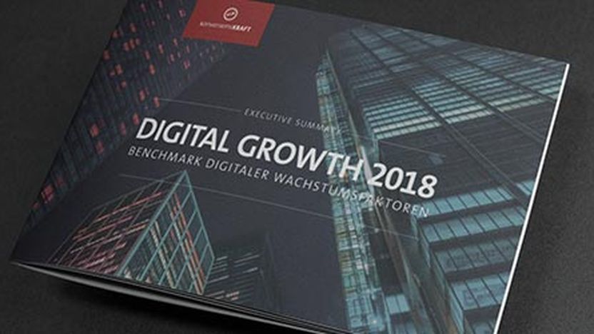 Studie: Digital Growth 2018 – Benchmark digitaler Wachstumsfaktoren