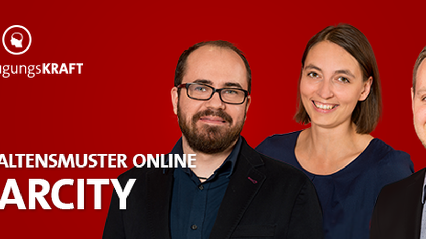 Behavior Pattern “Scarcity”