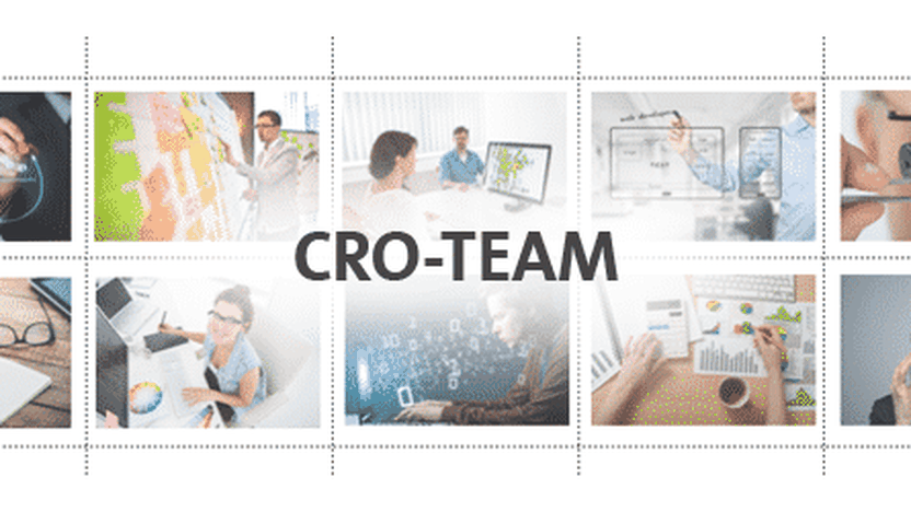 Mit diesen Zahlen bekommst Du Dein eigenes CRO-Team