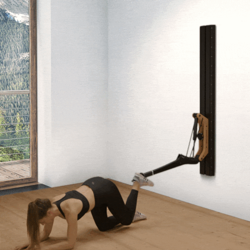 Single leg backward leg press