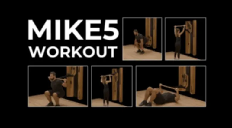 MIKE5 Training Concept
