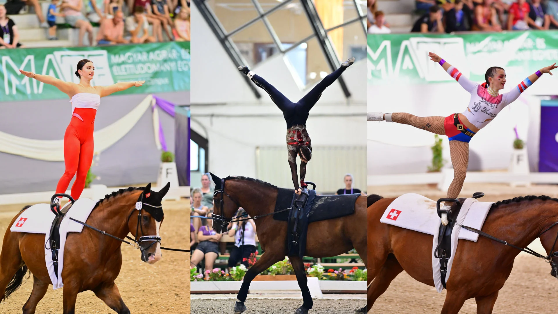 Power and Precision: The Home Gym for Gymnasts & Vaulting Athletes