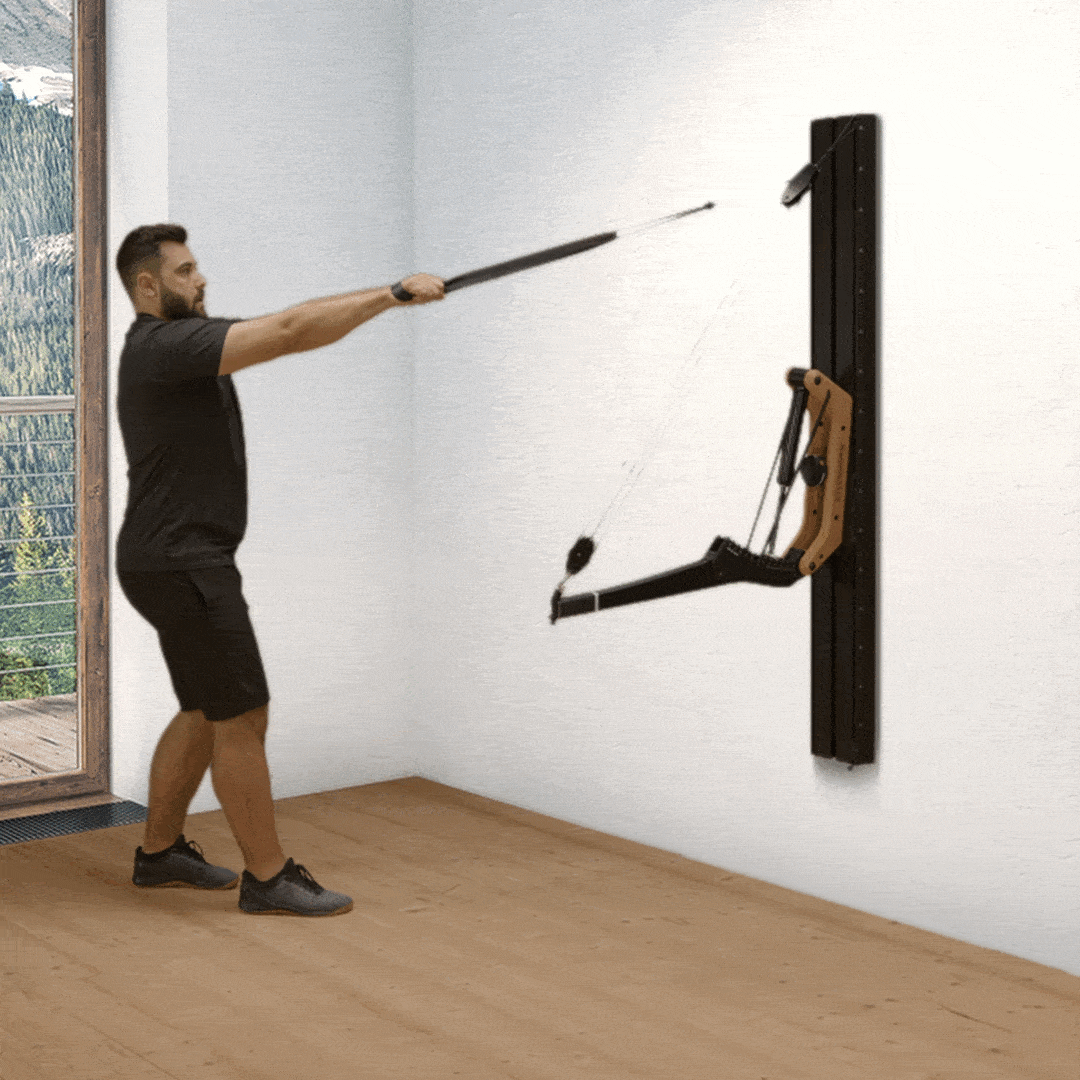 Facepulls on Cable Pulley