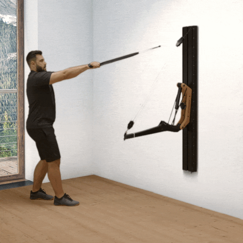 Facepulls on Cable Pulley