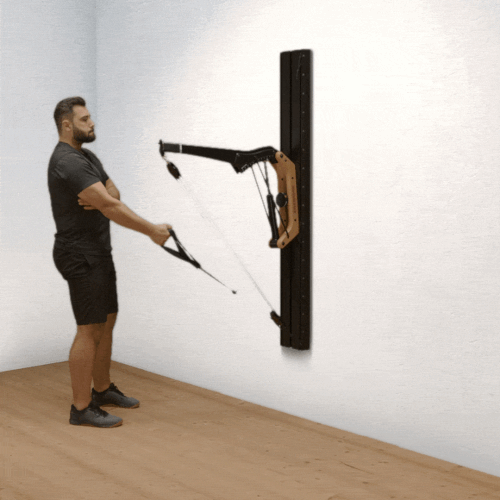 One-arm bicep curls on the Cable Pulley