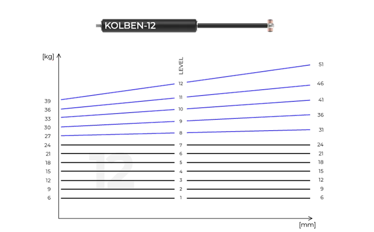 Kolben 12 – bis zu 51 kg Trainingsgewicht