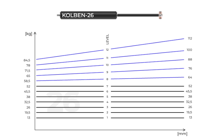 Kolben 26 – bis zu 224 kg Trainingsgewicht
