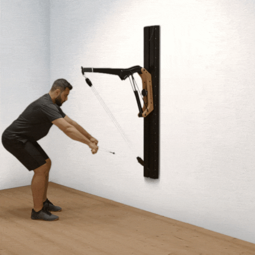 Standing rowing on Cable Pulley