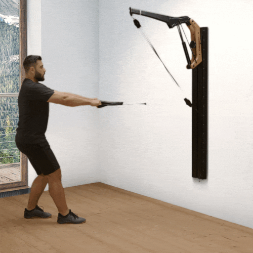 Standing rowing pull