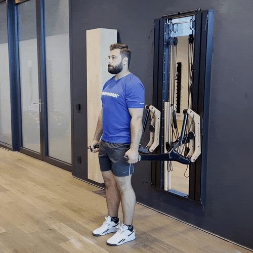 Shrugs alternating with handle on horn