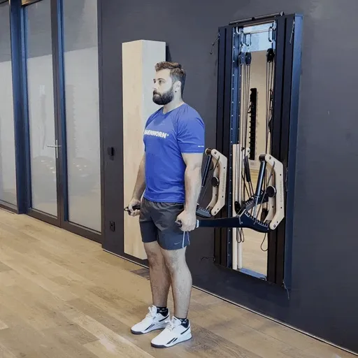 Shrugs alternating with handle on horn