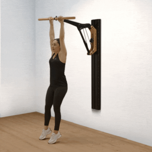Hanging Leg Raise