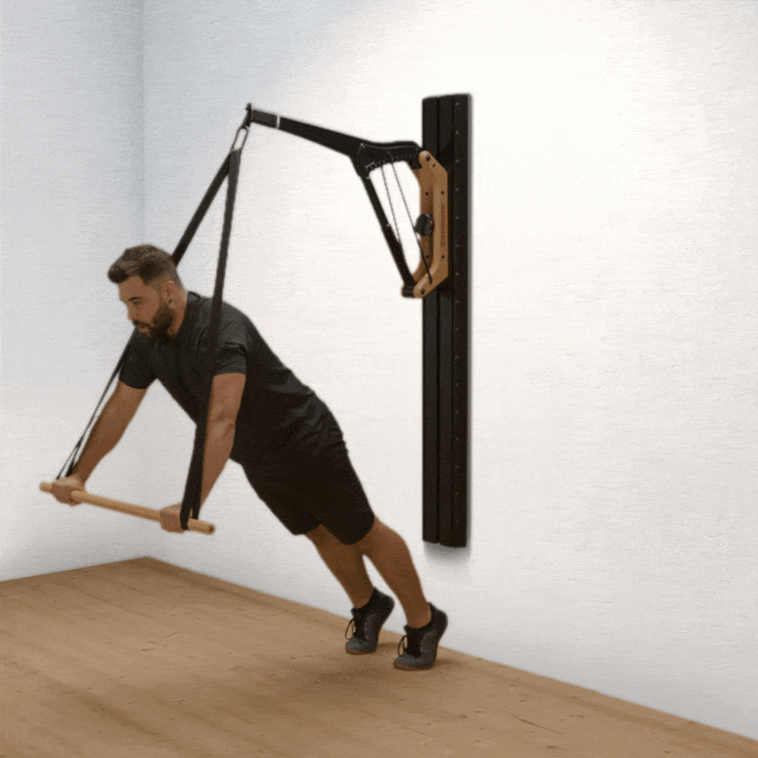 Push-ups with grip straps and handlebar
