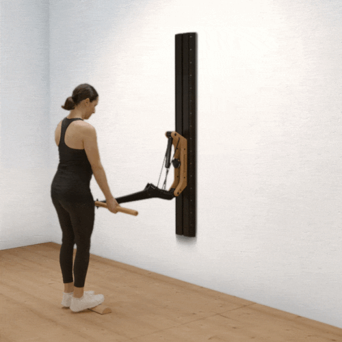 Calf raise standing eccentric