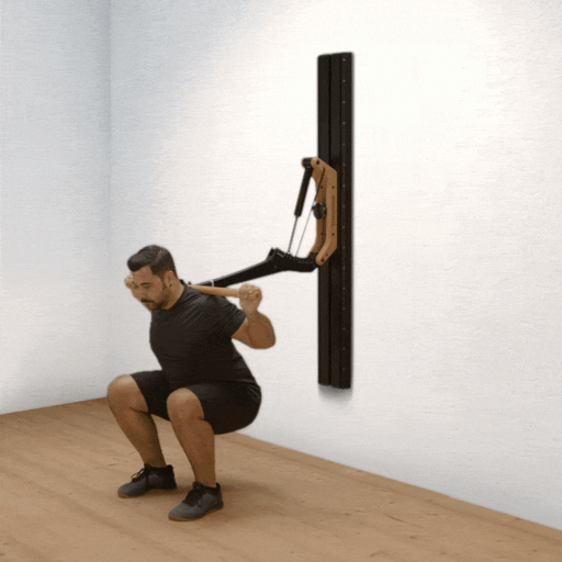 Hack squat (Hack Squats)