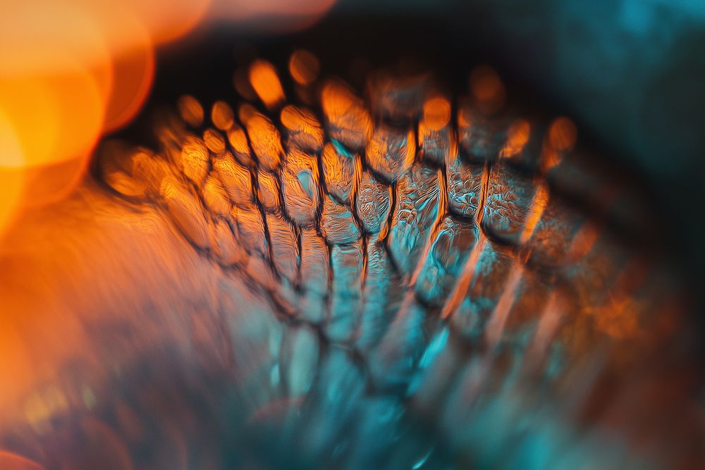 Agentur für Digitalisierung