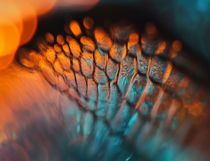 Digitale Transformation. Für voll genutztes Potenzial.